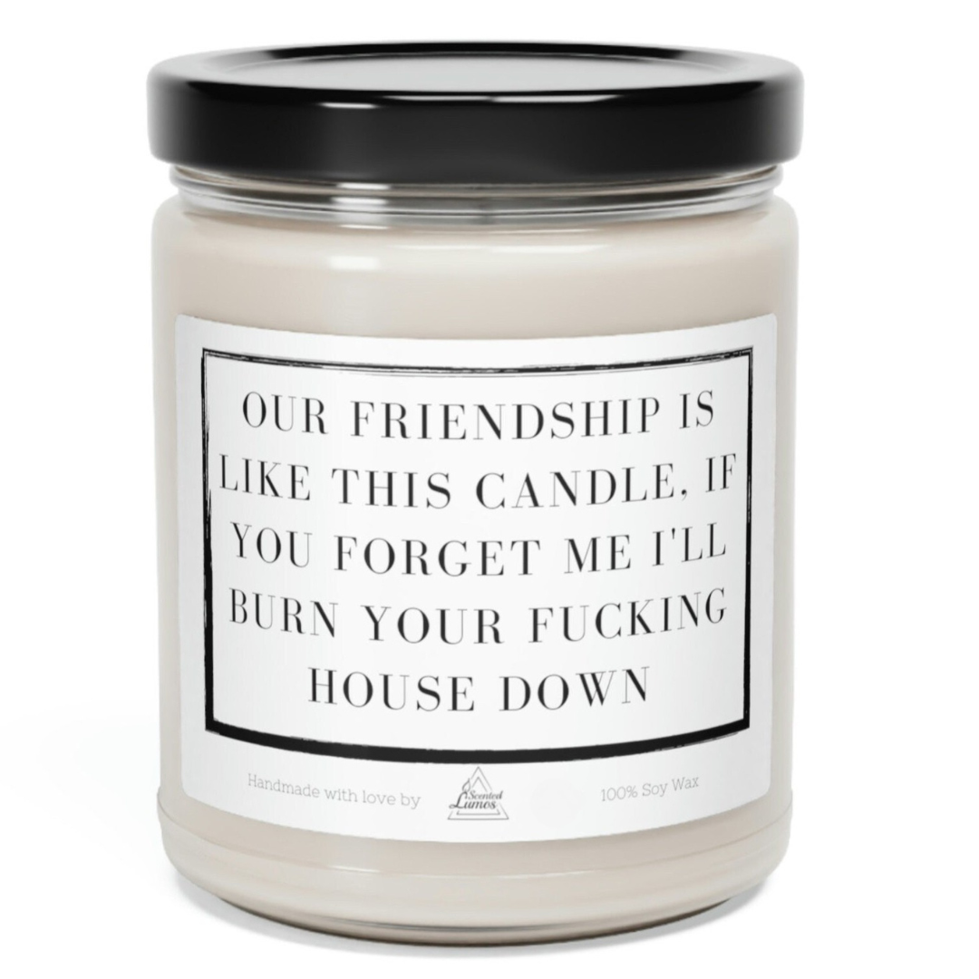 Our friendship is like this candle Scented Soy Candle