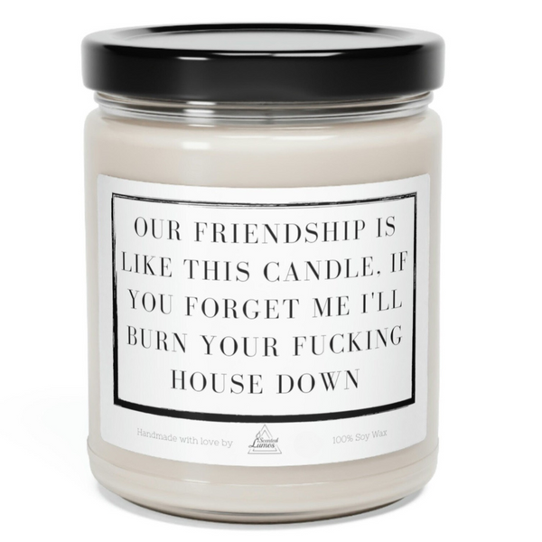 Our friendship is like this candle Scented Soy Candle