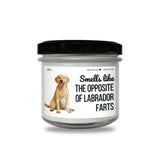 a jar of labradder farts with a dog on it