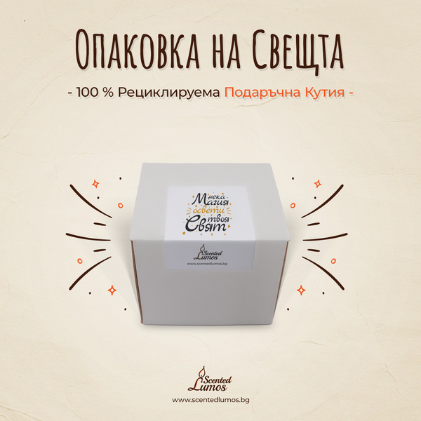 Aquarius Scented Soy Candle