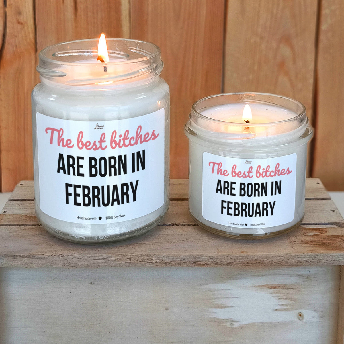 The best bitches are born in February Scented Soy Candle