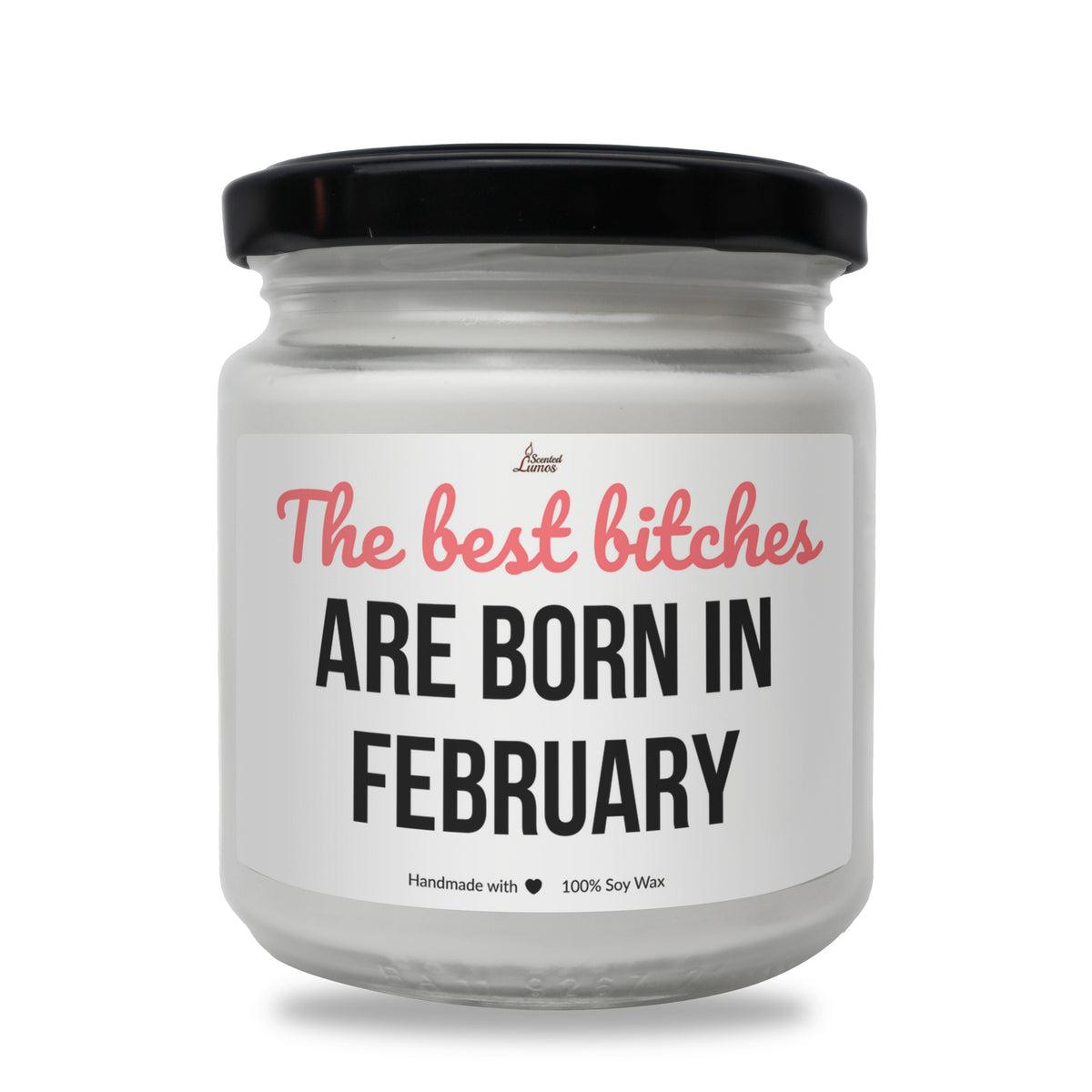 The best bitches are born in February Scented Soy Candle