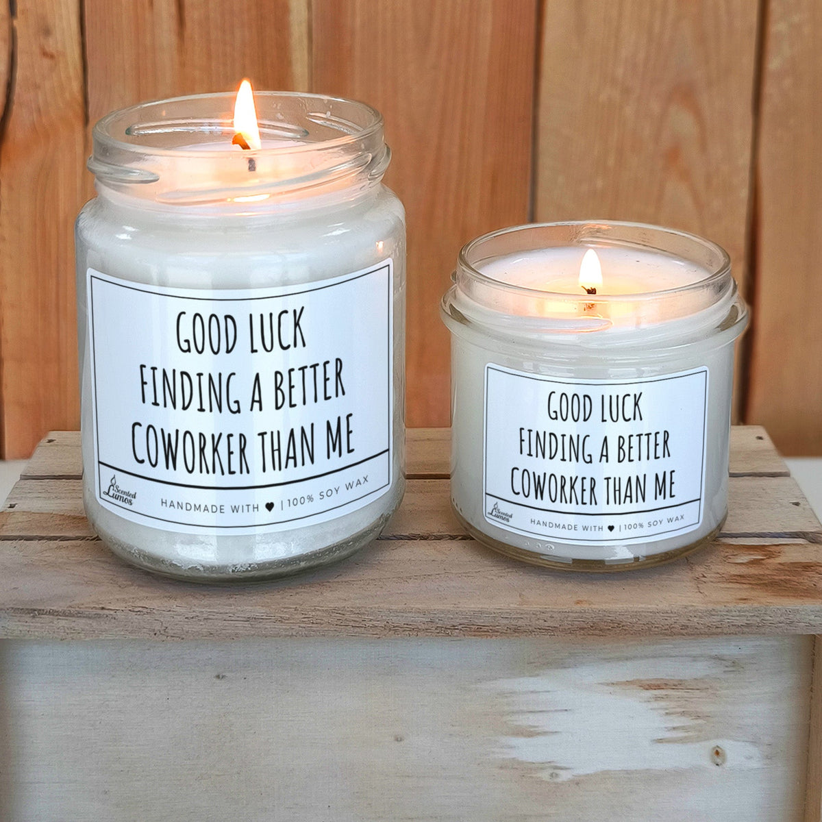 Good luck finding a better coworker than me Scented Soy Candle