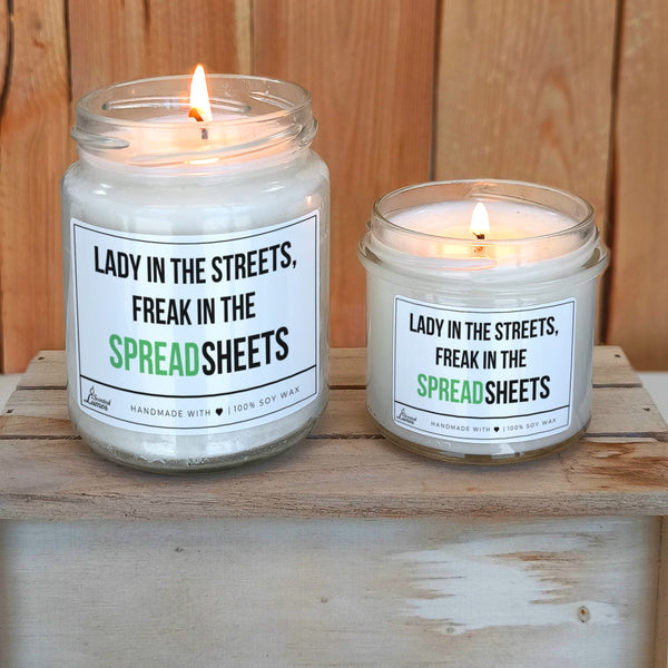 Lady in the streets, freak in the Spreadsheets Scented Soy Candle
