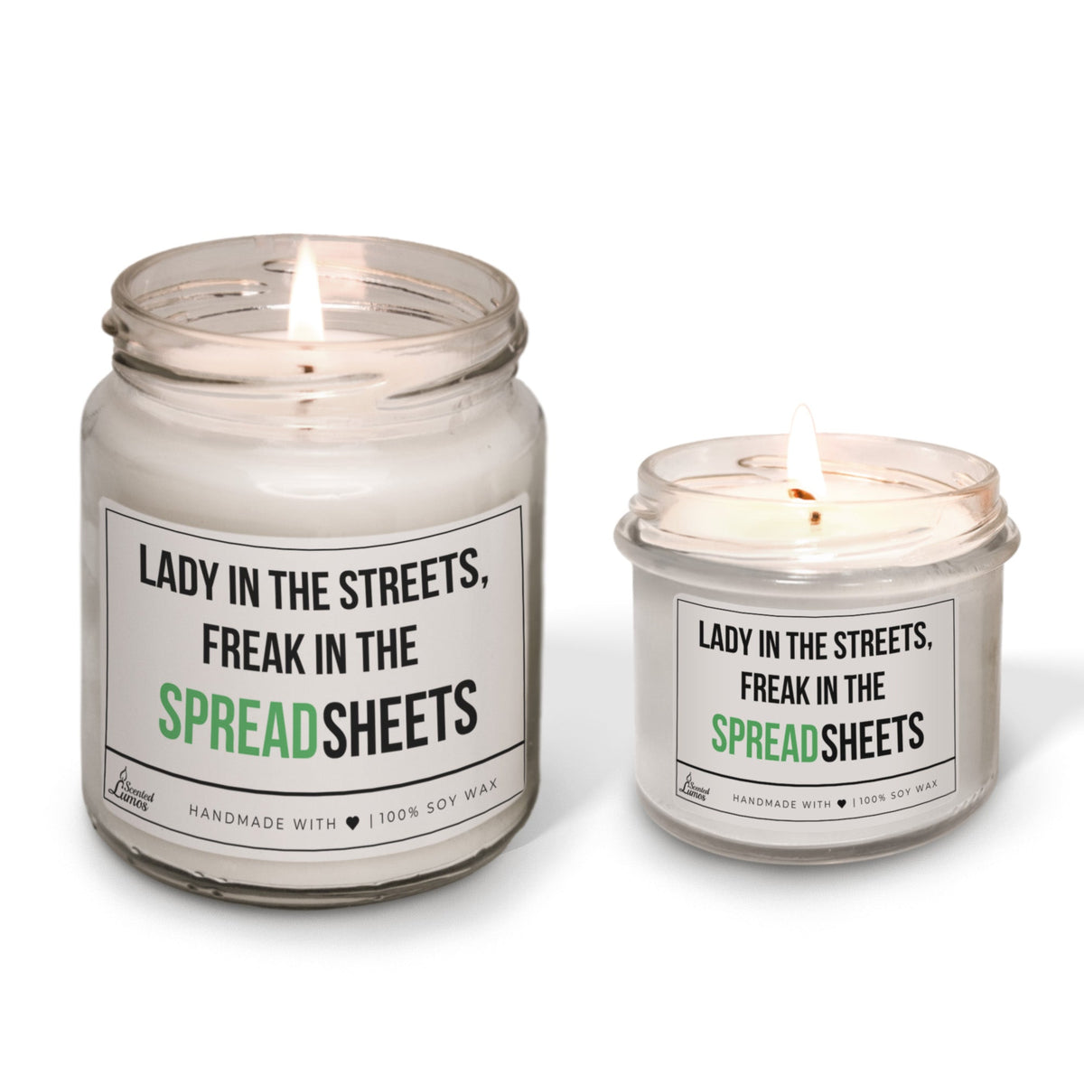 Lady in the streets, freak in the Spreadsheets Scented Soy Candle