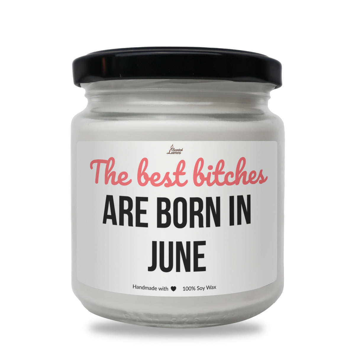 Best bitches are born in June Scented Soy Candle