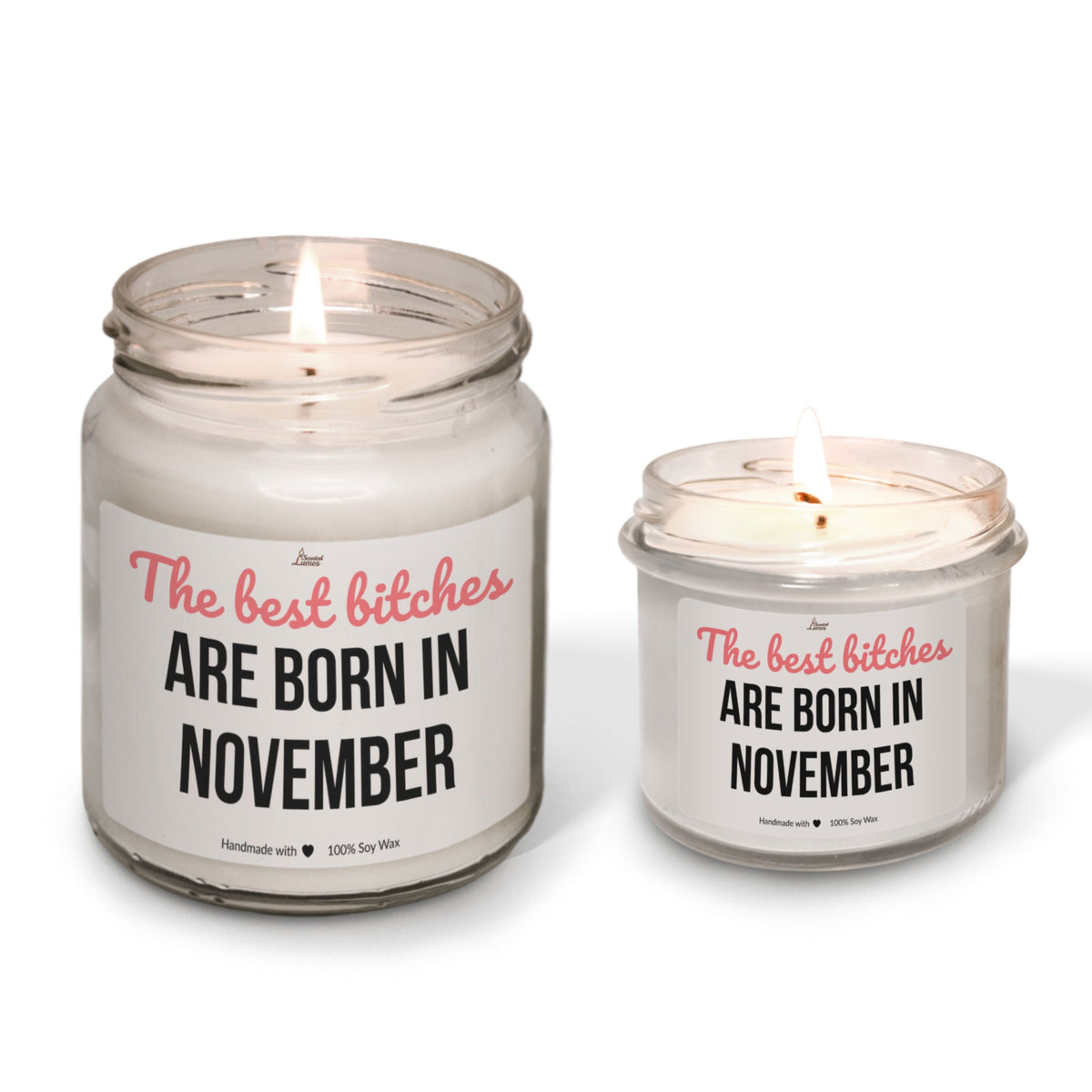 Best bitches are born in November Scented Soy Candle