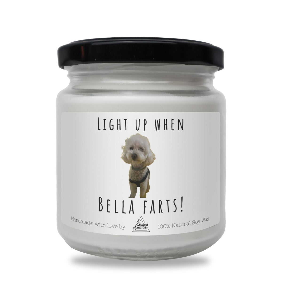 Light up when [Pet name] Farts Funny Soy Candle