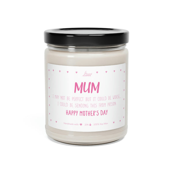 I could be sending this from prison Scented Soy Candle Mother's Day