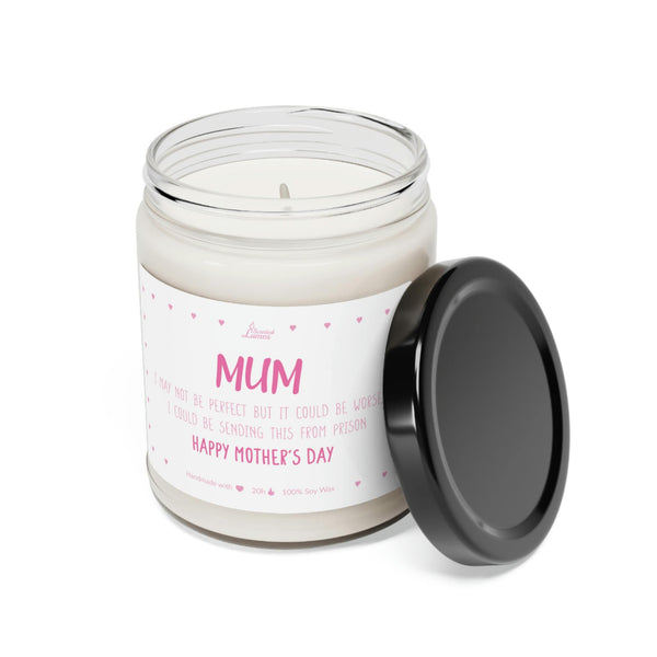 I could be sending this from prison Scented Soy Candle Mother's Day