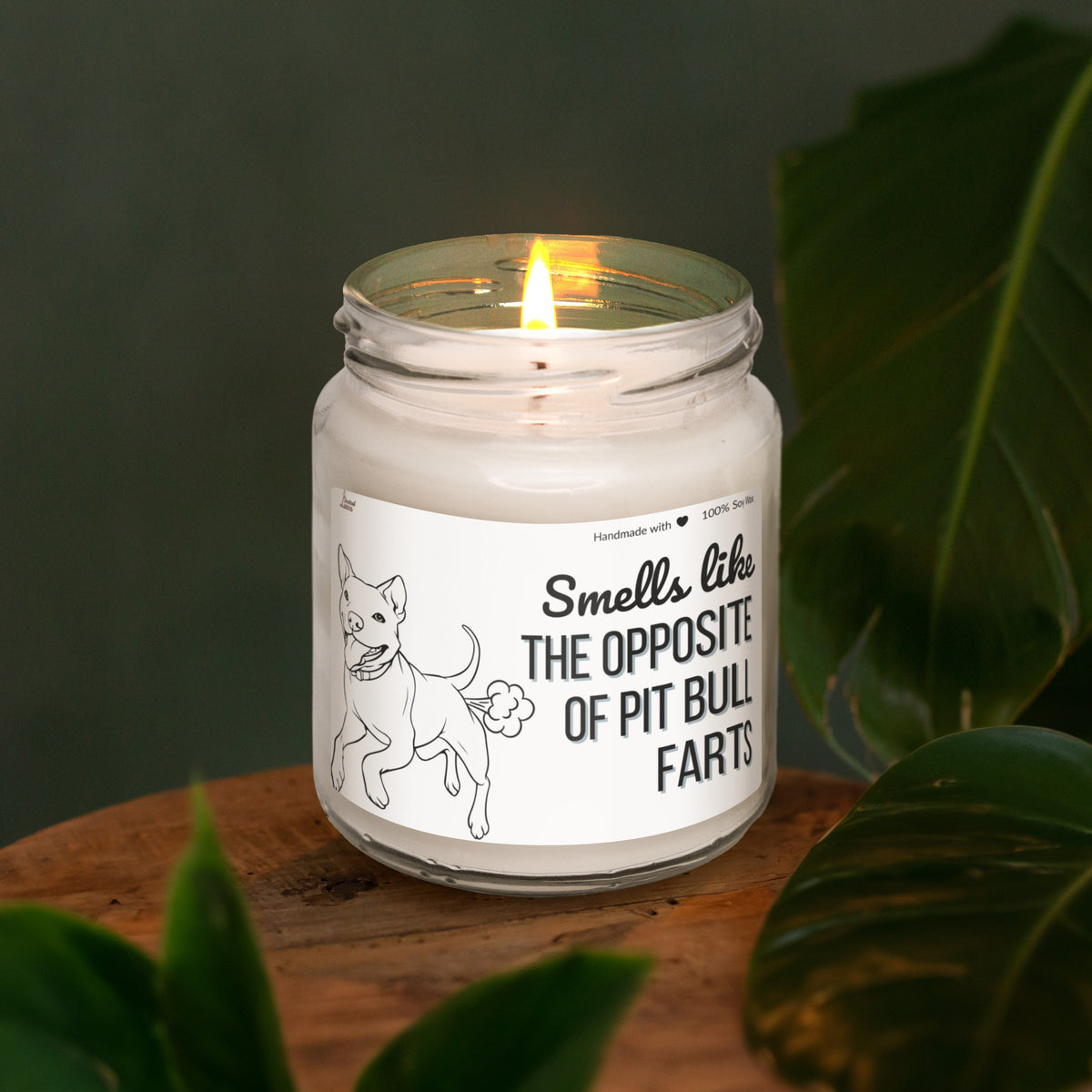Smells like the opposite of Pit Bull farts Scented Soy Candle