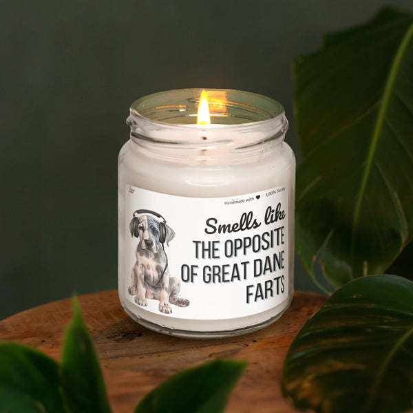Smells like the opposite of Great Dane farts Scented Soy Candle
