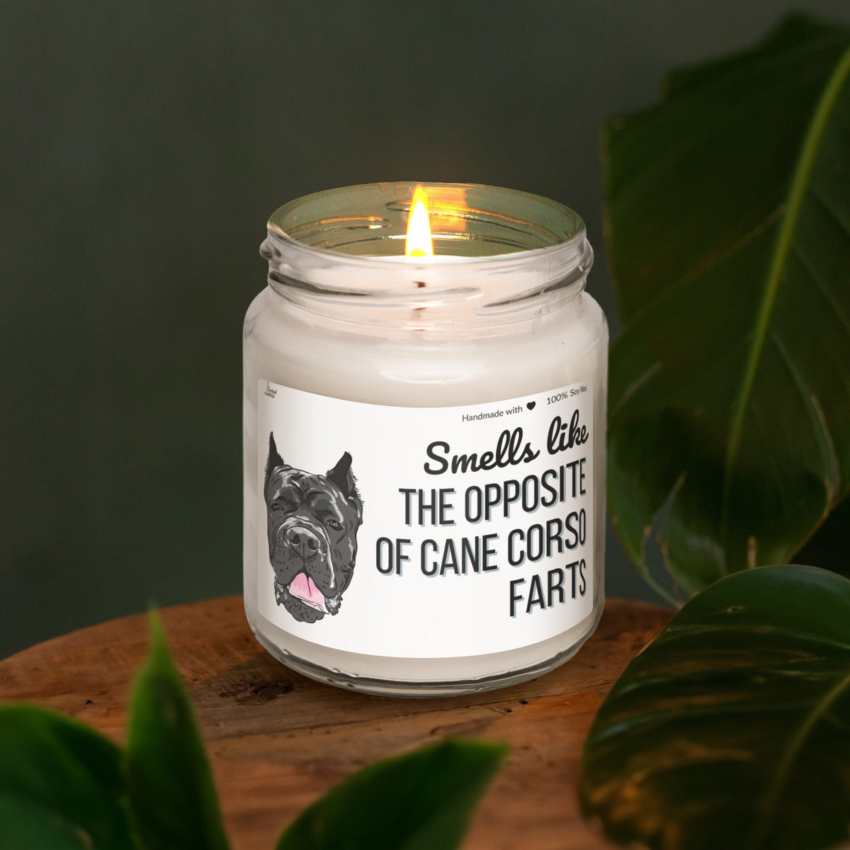 Smells like the opposite of Cane Corso farts Scented Soy Candle
