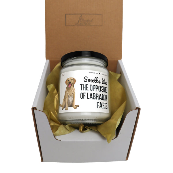 a small jar of dog food in a cardboard box