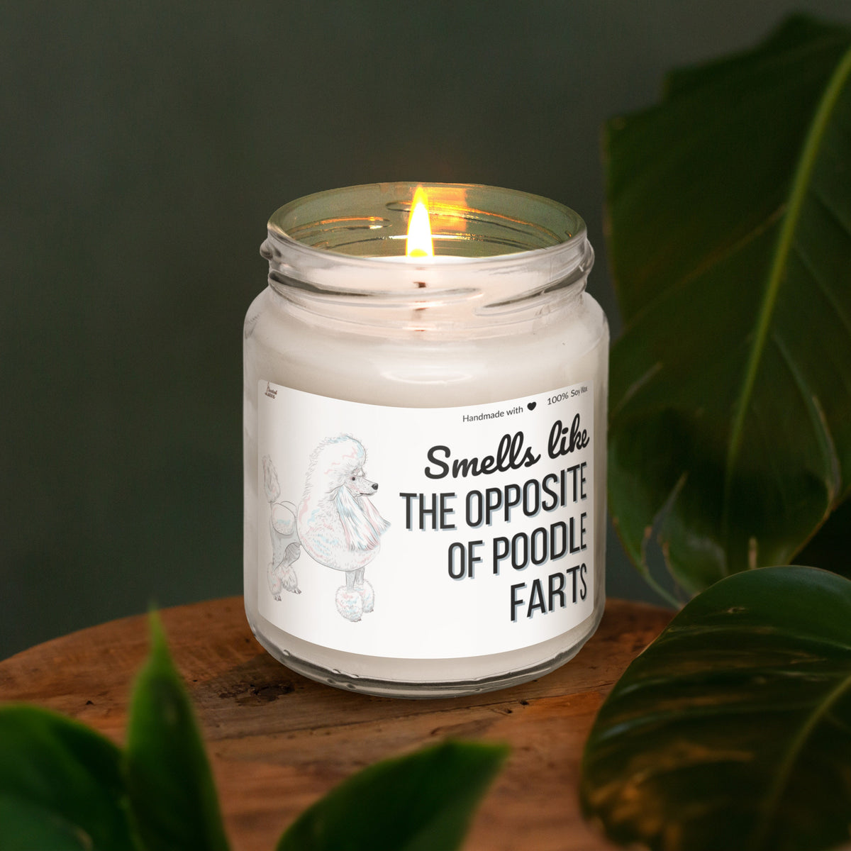 Smells like the opposite of Poodle farts Scented Soy Candle