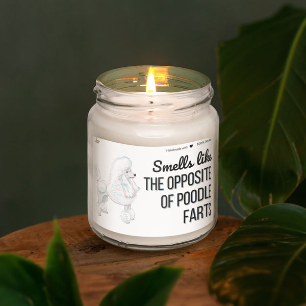 Smells like the opposite of Poodle farts Scented Soy Candle