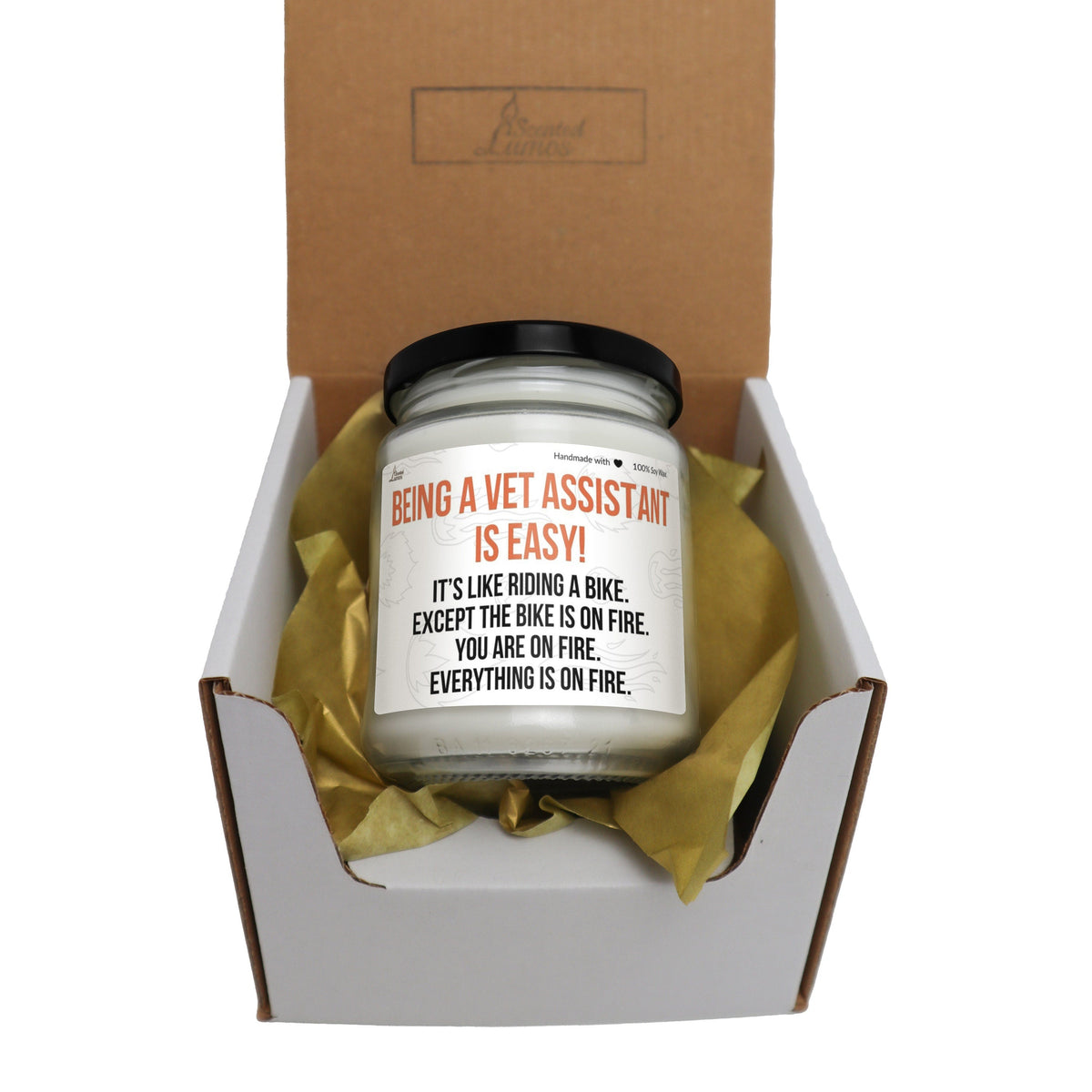 Being a Vet Assistant is easy Scented Soy Candle